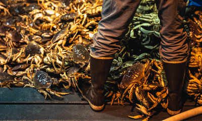 Allan Mathisen - Southeast Dungeness Crab